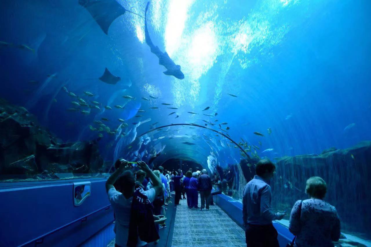 Океанариум «подводный мир Винперл»